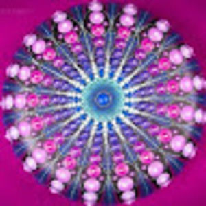 Meet your Posher, Jessie